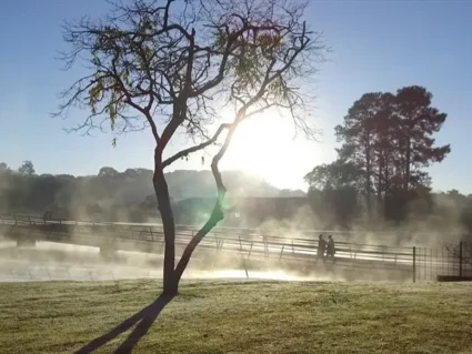 Frio perde força e temperaturas voltam a subir no Paraná