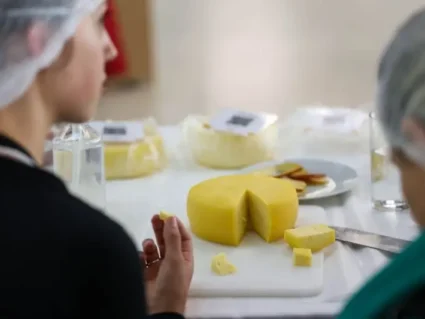 Paraná, segundo maior produtor de leite do país, lança segunda edição Prêmio Queijos do Paraná