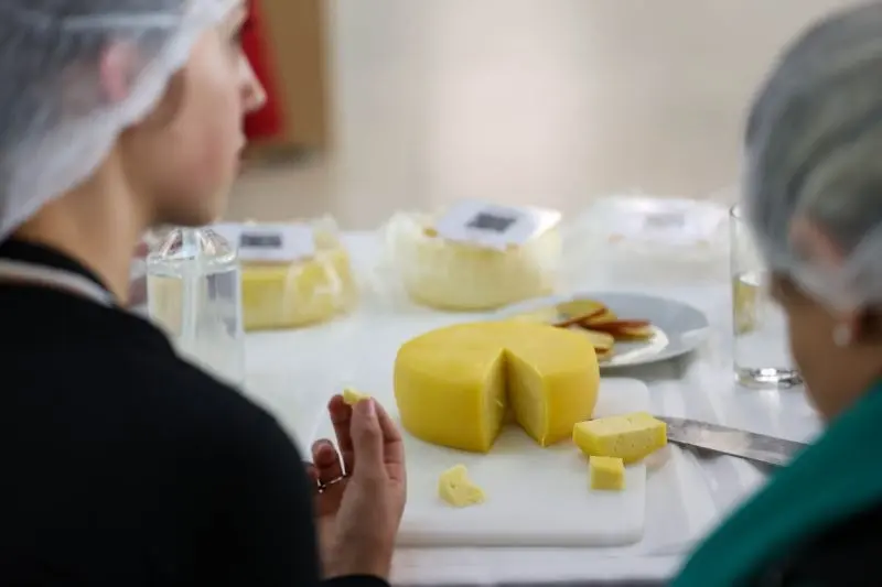 Paraná, segundo maior produtor de leite do país, lança segunda edição Prêmio Queijos do Paraná