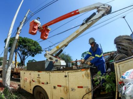 Copel poda mais de 18 mil árvores no Paraná