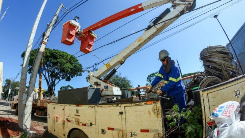 Copel poda mais de 18 mil árvores no Paraná