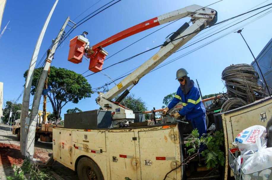 Copel poda mais de 18 mil árvores no Paraná