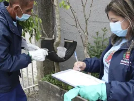 dengue curitiba limpar terrenos limpeza terrenos 48 horas