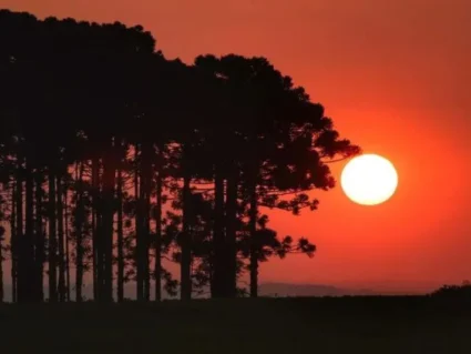 Onda de calor marca o início da primavera no Paraná