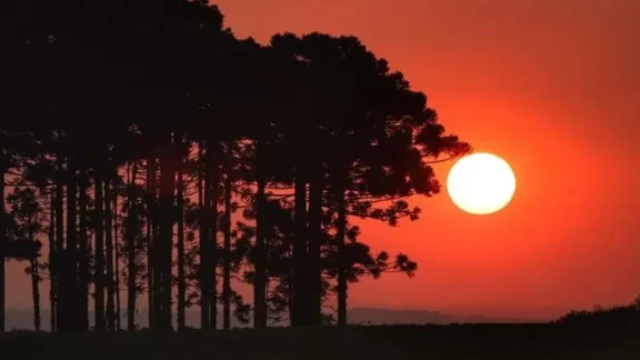 Onda de calor marca o início da primavera no Paraná