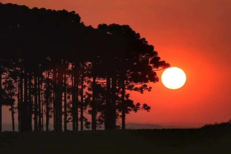 Onda de calor marca o início da primavera no Paraná