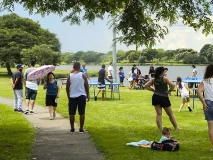 Sábado (26) com clima de Primavera em Curitiba: sol entre nuvens e temperaturas suaves