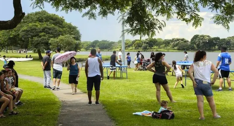 Sábado (26) com clima de Primavera em Curitiba: sol entre nuvens e temperaturas suaves