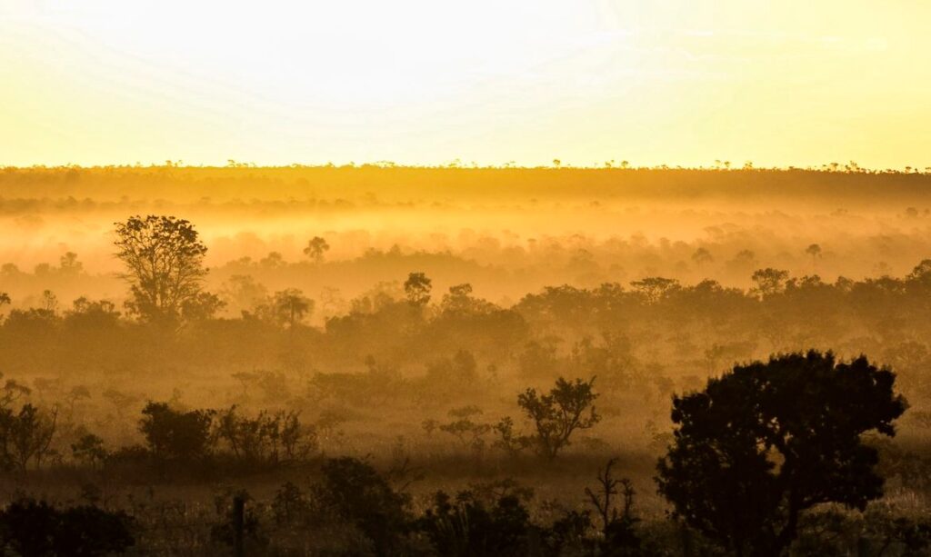 Onda de calor no Paraná dá lugar a frente fria