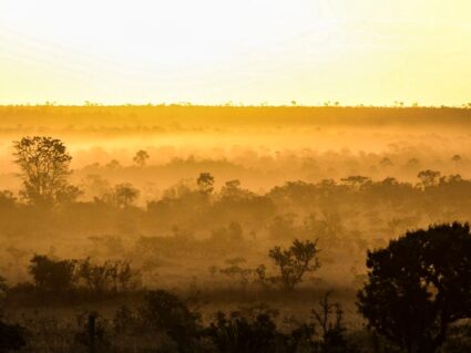 Onda de calor no Paraná dá lugar a frente fria