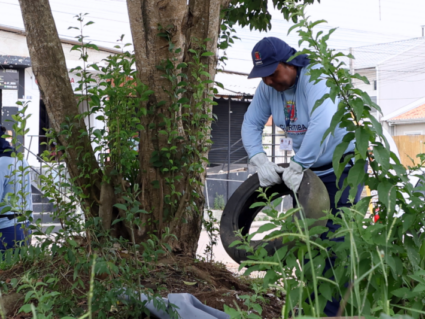 Dengue: Curitiba registra 199 novos casos