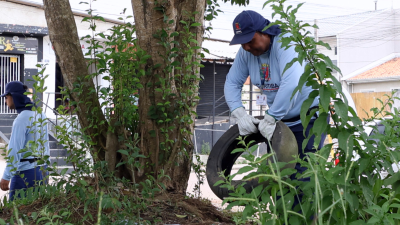 Dengue: Curitiba registra 199 novos casos