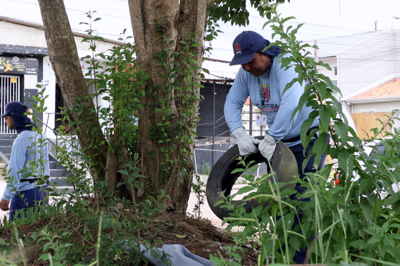 Dengue: Curitiba registra 199 novos casos