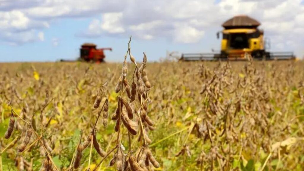 Cooperativismo impulsiona economia paranaense e bate recordes históricos