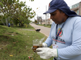 mutirão dengue Curitiba