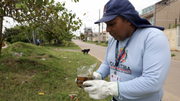 Paraná registra quase 4 mil casos de dengue em pouco mais de três meses