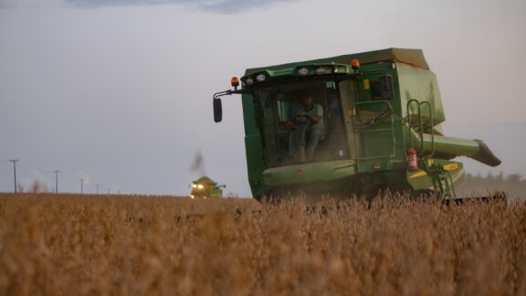 Chuvas favorecem plantio e produção de soja no Paraná