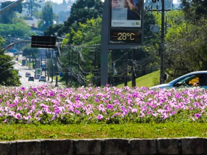 Semana começa com calor e tempo abafado em todo o Paraná