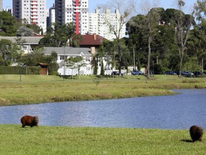 Termômetros chegam aos 26º C em Curitiba nesta sexta-feira