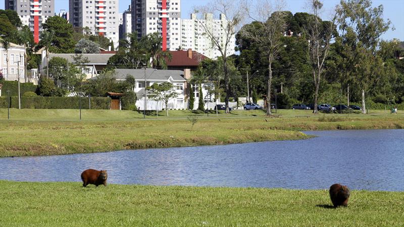 Termômetros chegam aos 26º C em Curitiba nesta sexta-feira