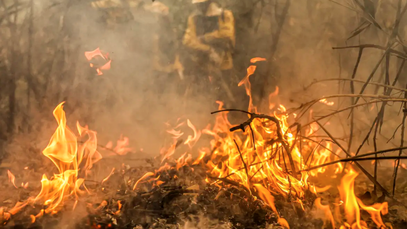 Paraná intensifica combate a incêndios ambientais