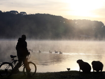 Semana começa com 0ºC em Curitiba; veja a previsão do tempo