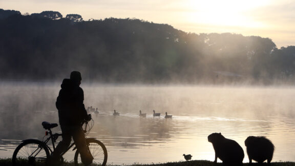 Semana começa com 0ºC em Curitiba; veja a previsão do tempo