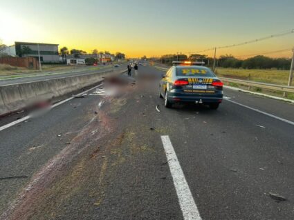 Cavalos provocam acidentes e envolvem três veículos na BR-376, em Alto Paraná