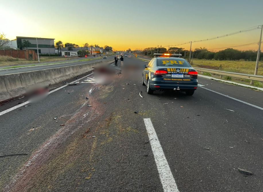 Cavalos provocam acidentes e envolvem três veículos na BR-376, em Alto Paraná