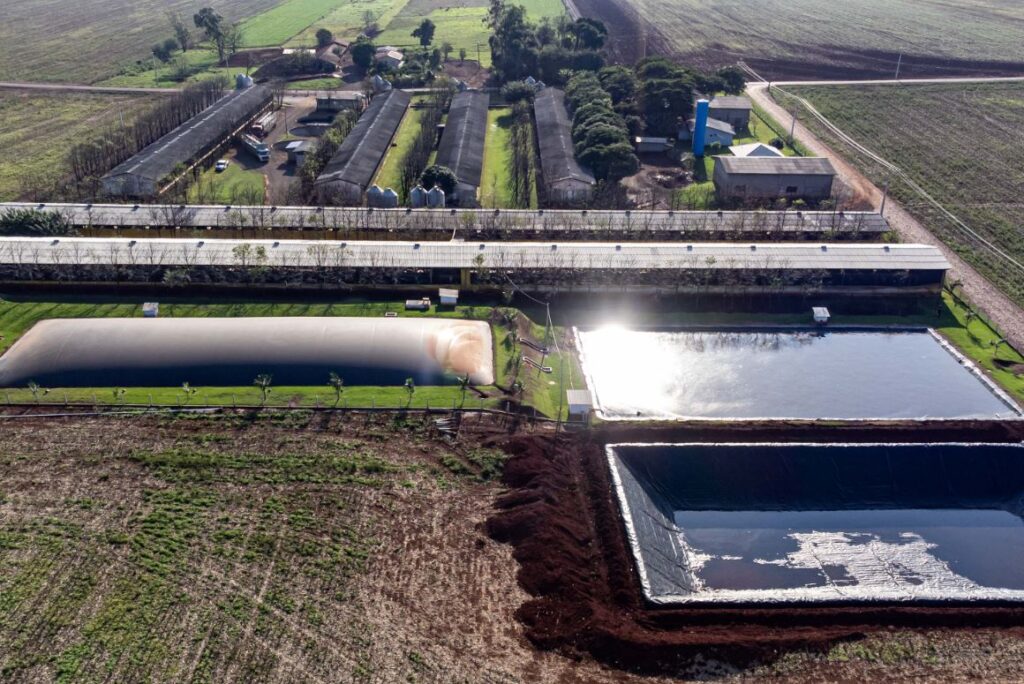 Energia renovável, o avanço paranaense no campo