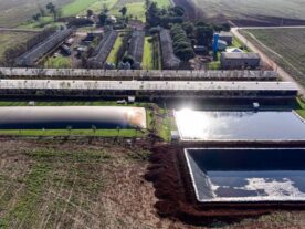 Energia renovável, o avanço paranaense no campo