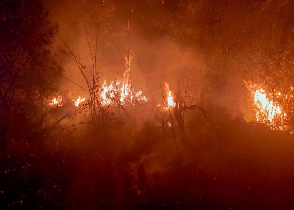 Homem é preso por iniciar incêndio em mata na Grande Curitiba