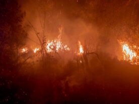 Homem é preso por iniciar incêndio em mata na Grande Curitiba