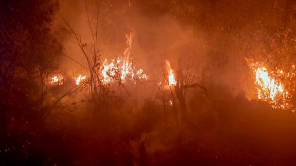 Homem é preso por iniciar incêndio em mata na Grande Curitiba