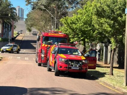 Idosos são atacados por pitbulls em parque de Cascavel