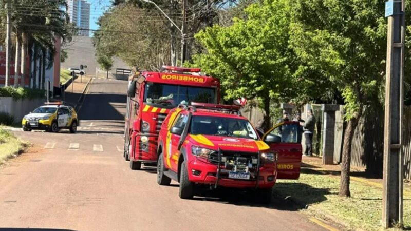 Idosos são atacados por pitbulls em parque de Cascavel