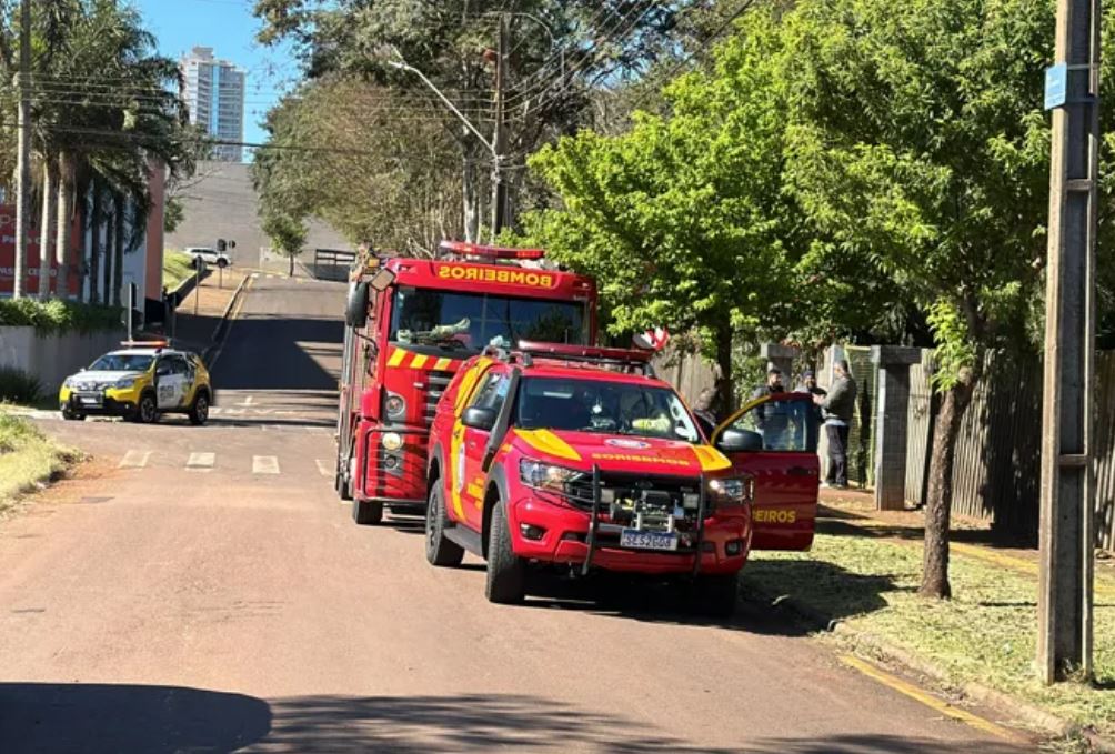 Idosos são atacados por pitbulls em parque de Cascavel