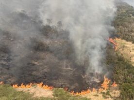 Incêndios fazem qualidade do ar da região de Curitiba despencar