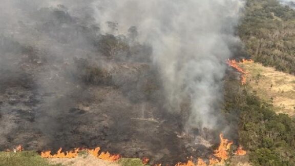 Incêndios florestais impactam na qualidade do ar de Curitiba e prejudicam a saúde da população