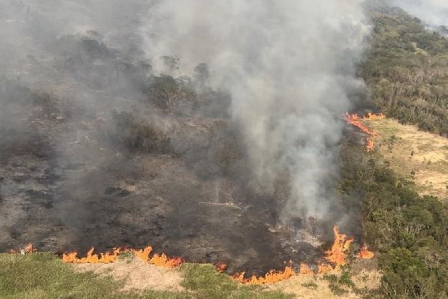 Incêndios florestais impactam na qualidade do ar de Curitiba e prejudicam a saúde da população