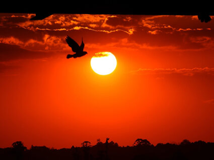 Setembro começa com predomínio do sol no Paraná