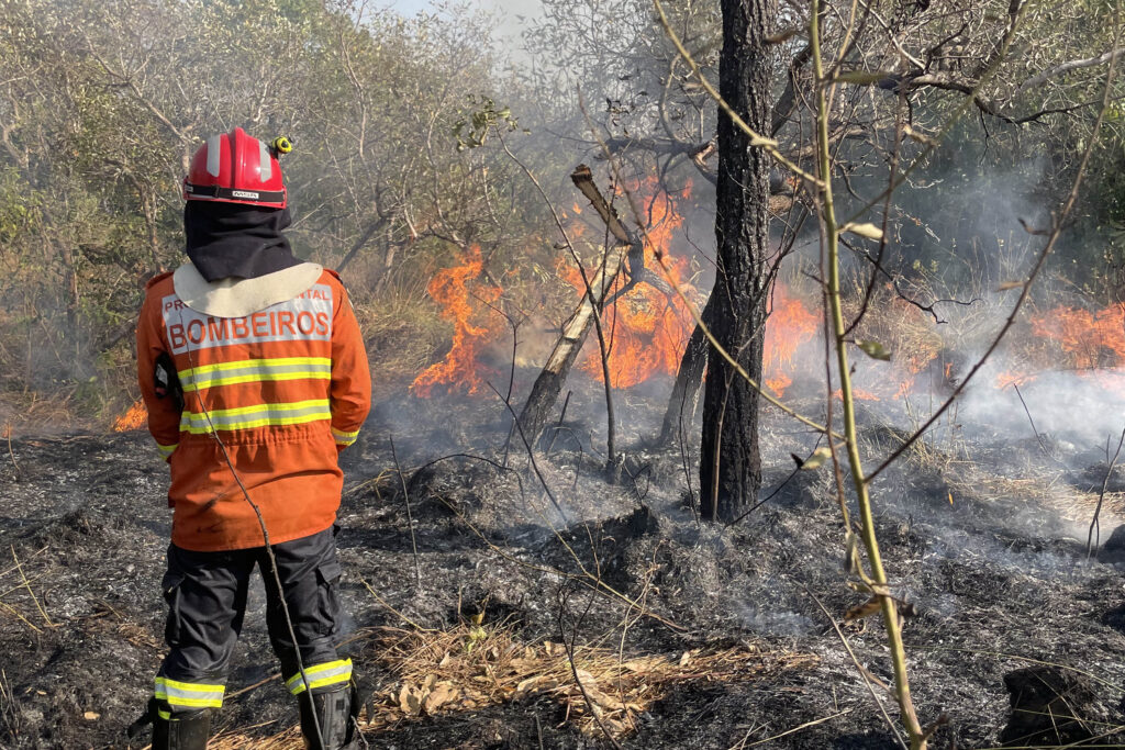 Bombeiros do Paraná encerram força-tarefa no Pantanal