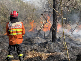 bombeiros Paraná incêndios Pantanal