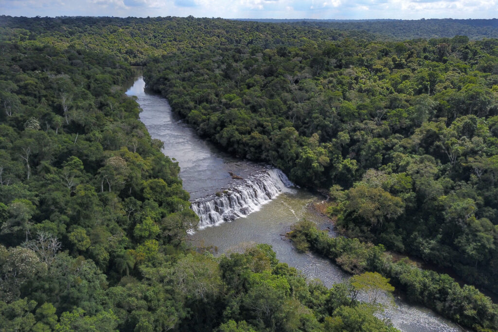 Paraná é o estado mais sustentável do Brasil, aponta Ranking de Competitividade