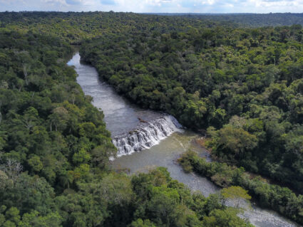 Paraná é o estado mais sustentável do Brasil, aponta Ranking de Competitividade