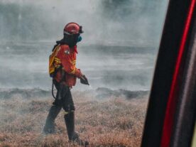 incendios-florestais-parana-corpo-de-bombeiros.jpg