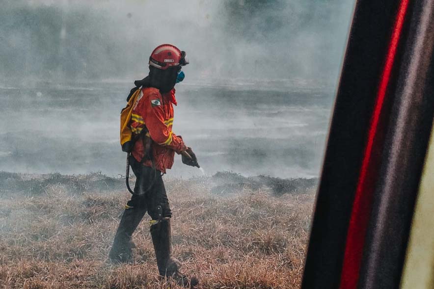 Incêndios florestais no Paraná crescem 132% em um ano