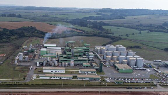 Com investimentos bilionários, Paraná alavanca industrialização da soja no país