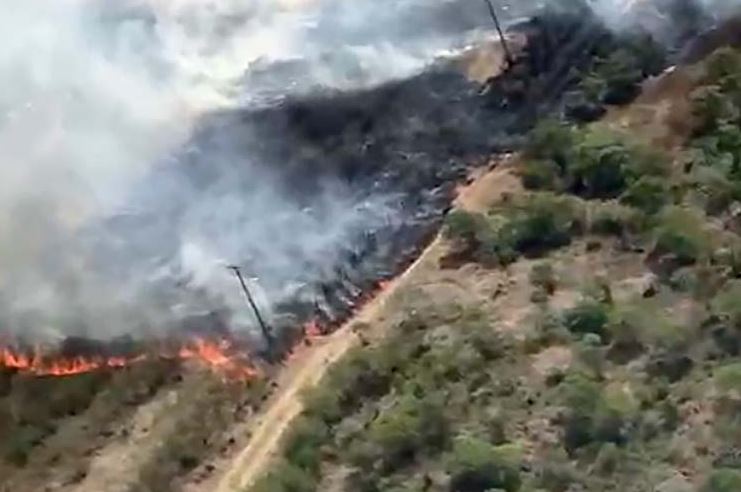 Incêndio florestal já consumiu 100 mil metros quadrados em Palmeira