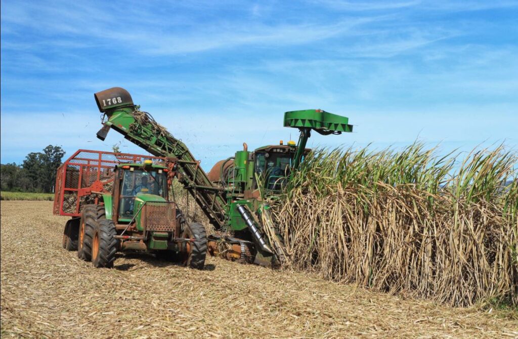 Paraná se destaca no levantamento dos custos da produção Campo Futuro